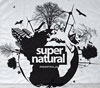 Supernatural festival 2010.