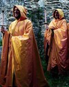 Veliko interesovanje za koncert grupe Gregorian