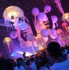 "Sensation" očekuje 20.000 ljudi