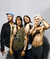 RHCP kreće na evropsku turneju