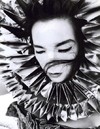 Bj&ouml;rk snimila spot za pesmu "Crystalline"