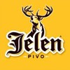 Jelen Pivo je novi partner EXIT festivala!