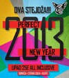 Perfect New Year 2013, Novi Sad