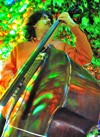 Niccolo Faraci quartet na Nisvillu 2013