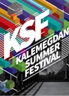 Kalemegdan Summer Festival objavio domaći line up!