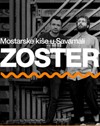 Zoster u Mikser House-u 6. novembra