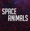 Space Animals u Monsunu: Ne&scaron;to novo, ne&scaron;to divlje