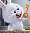 "Tajne avanture kućnih ljubimaca" u bioskopima
