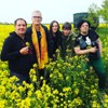 Singidunum festival na Kalemegdanu