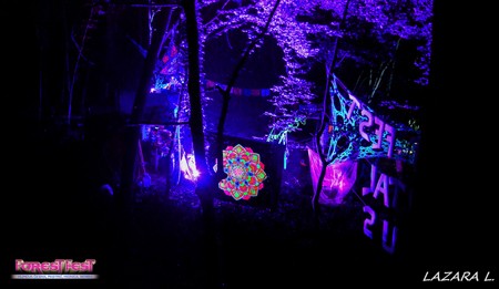 Srpski &scaron;umski psy-trance festival osvojio evropske posetioce!