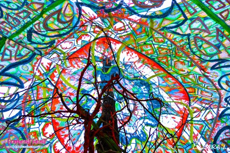 Srpski &scaron;umski psy-trance festival osvojio evropske posetioce!