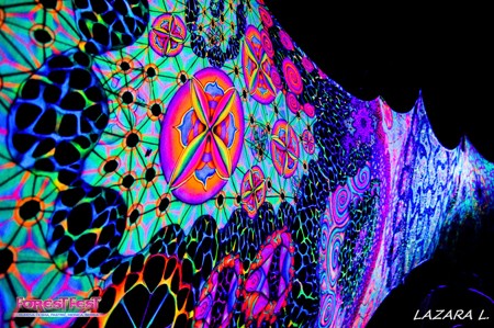 Srpski &scaron;umski psy-trance festival osvojio evropske posetioce!